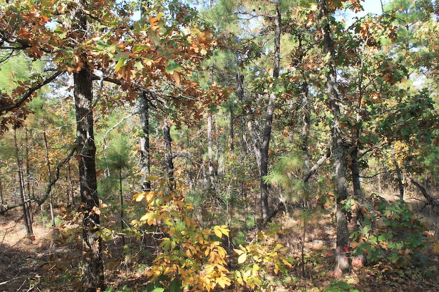 Indian Ridge – Phase III Tract 114 photo 5