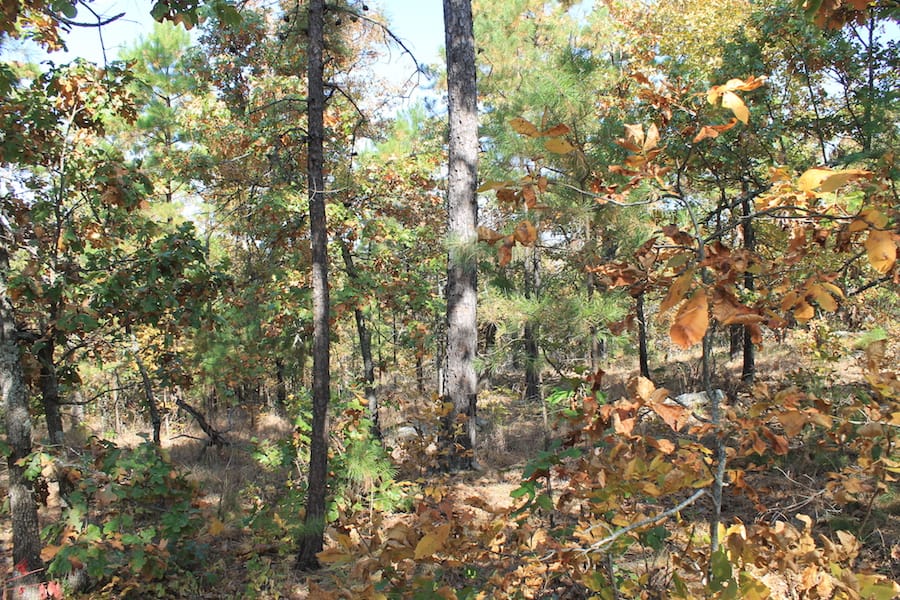 Indian Ridge – Phase III Tract 114 photo 6