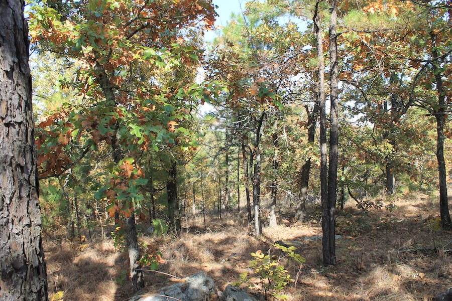 Indian Ridge – Phase III Tract 114 photo 7