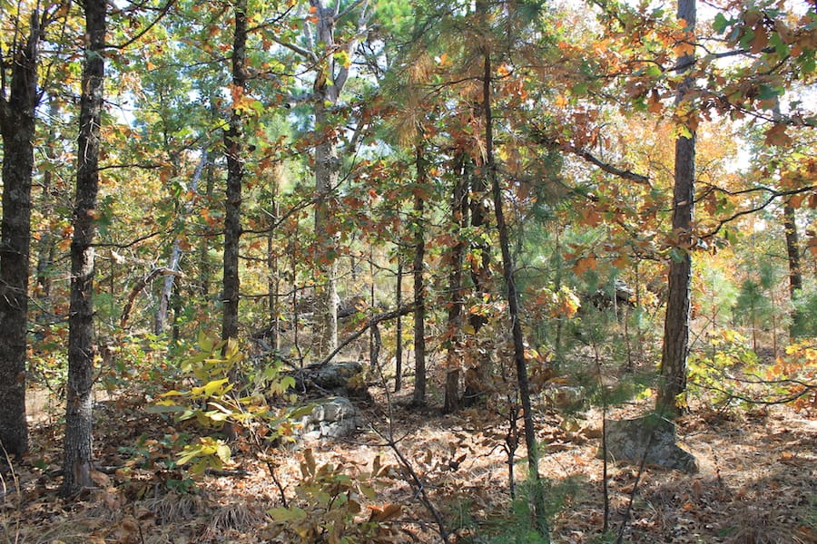 Indian Ridge – Phase III Tract 114 photo 8