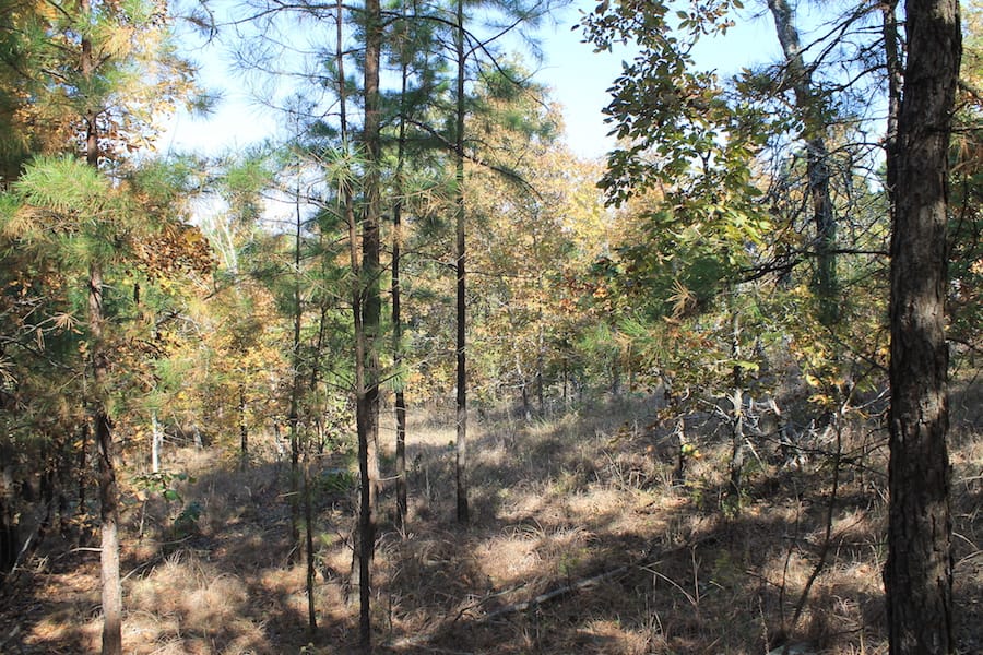 Indian Ridge – Phase III Tract 114 photo 9