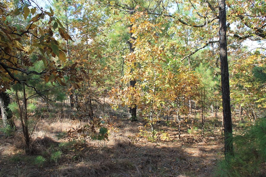 Indian Ridge – Phase III Tract 114 photo 10