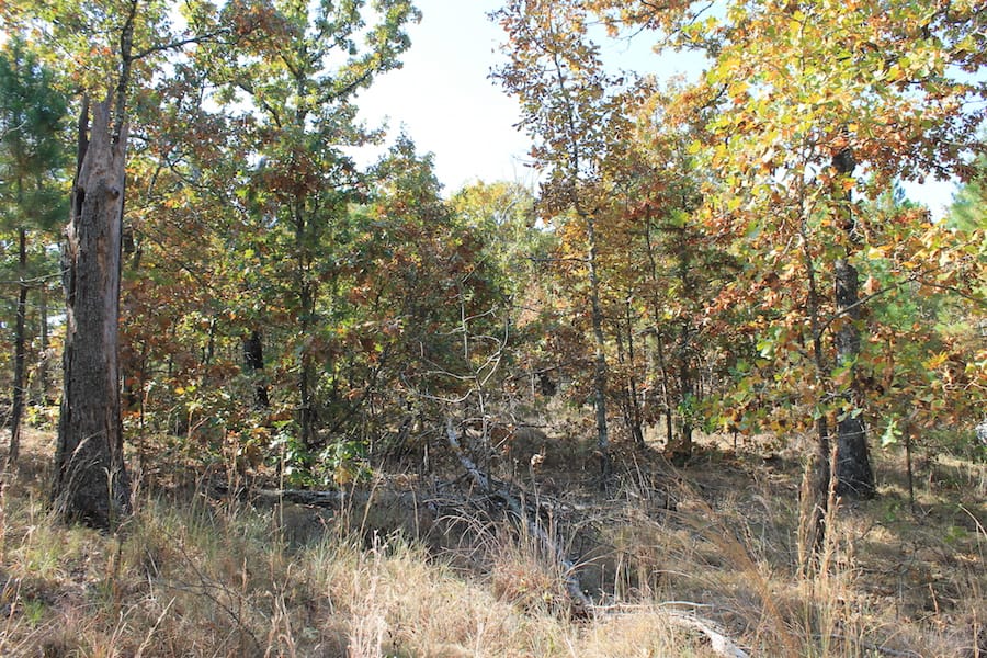 Indian Ridge – Phase III Tract 114 photo 11