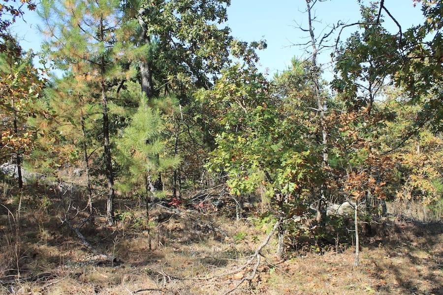 Indian Ridge – Phase III Tract 114 photo 12