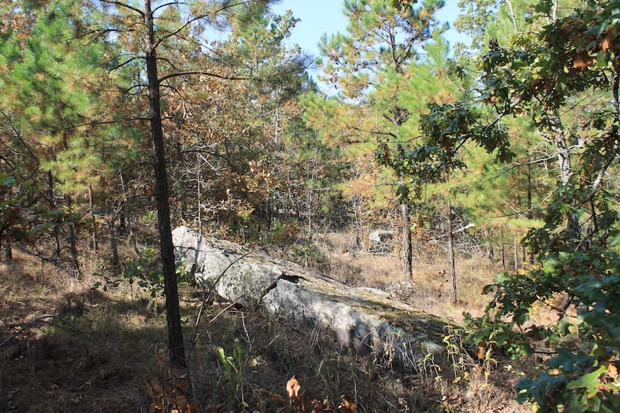 Indian Ridge – Phase III Tract 114 photo 13