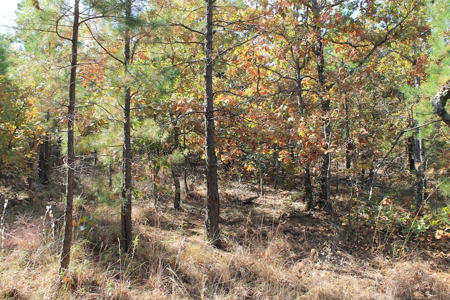 Indian Ridge – Phase III Tract 114 photo 14
