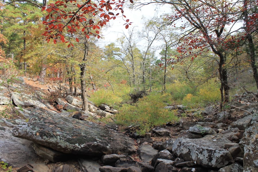 Indian Ridge – Phase III Tract 114 photo 15