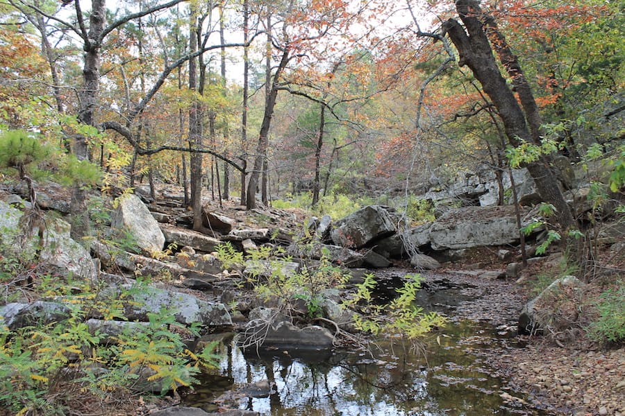 Indian Ridge – Phase III Tract 114 photo 16
