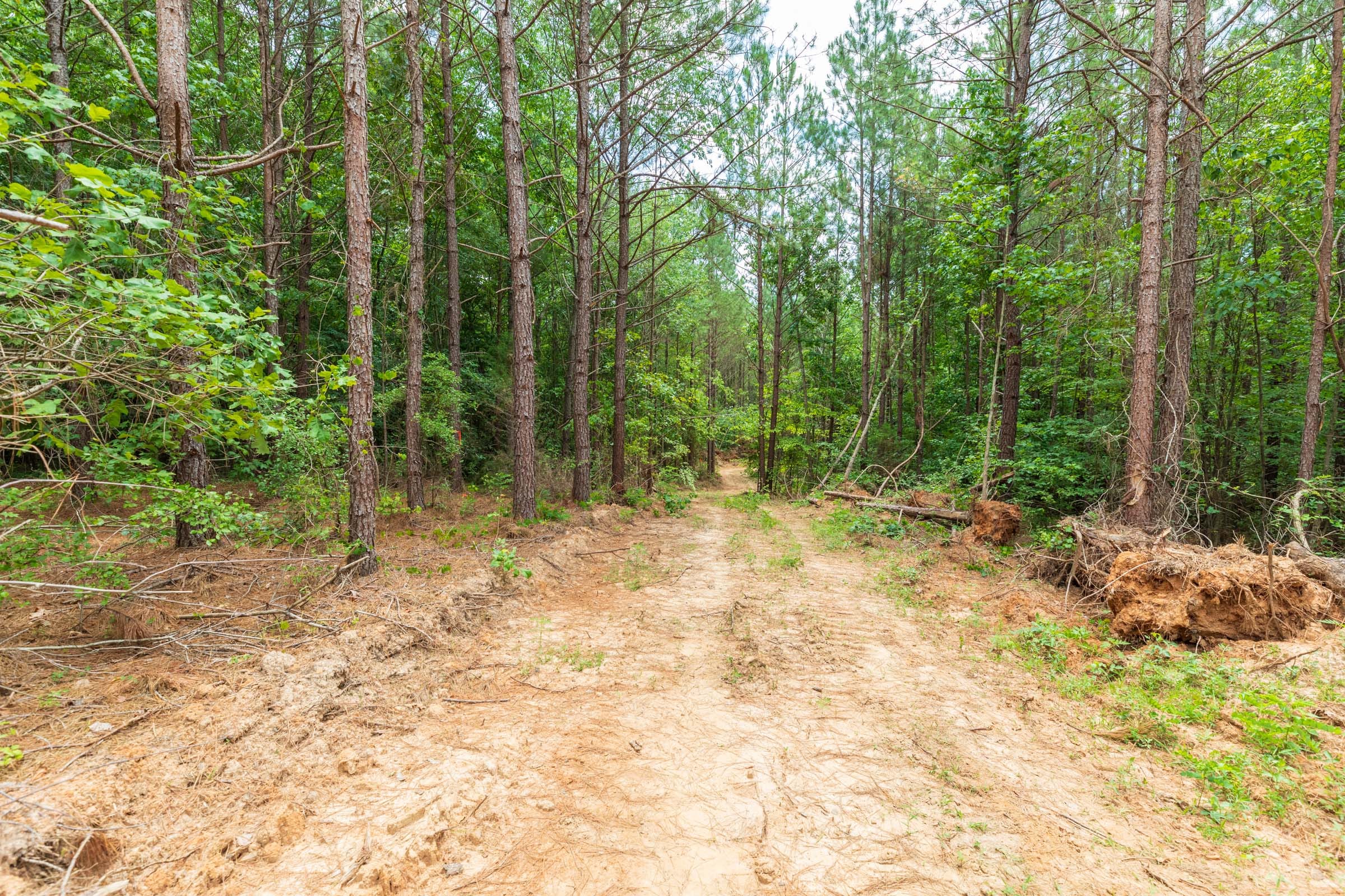 Whiskey Ridge Tract 5 photo 2