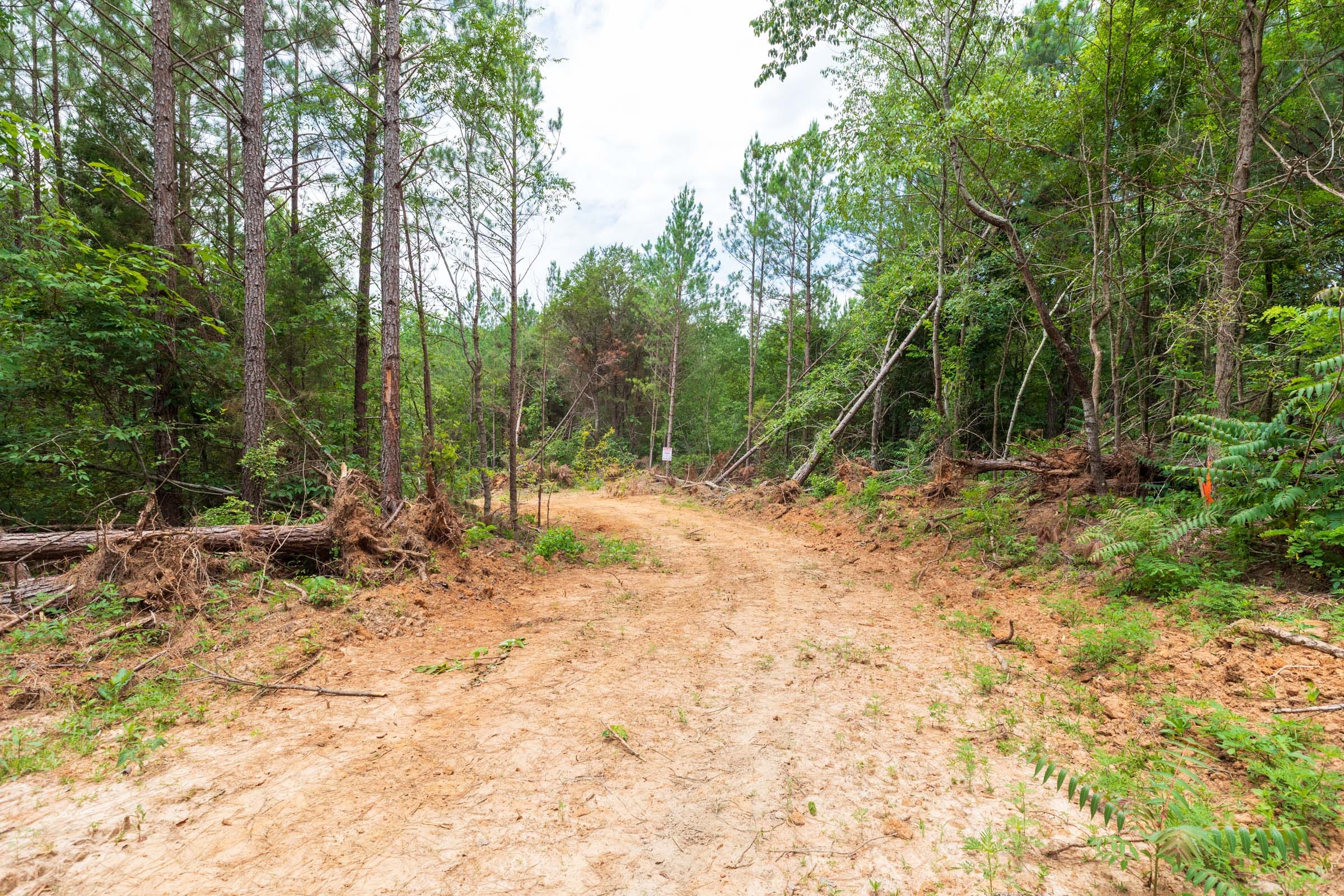 Whiskey Ridge Tract 5 photo 3