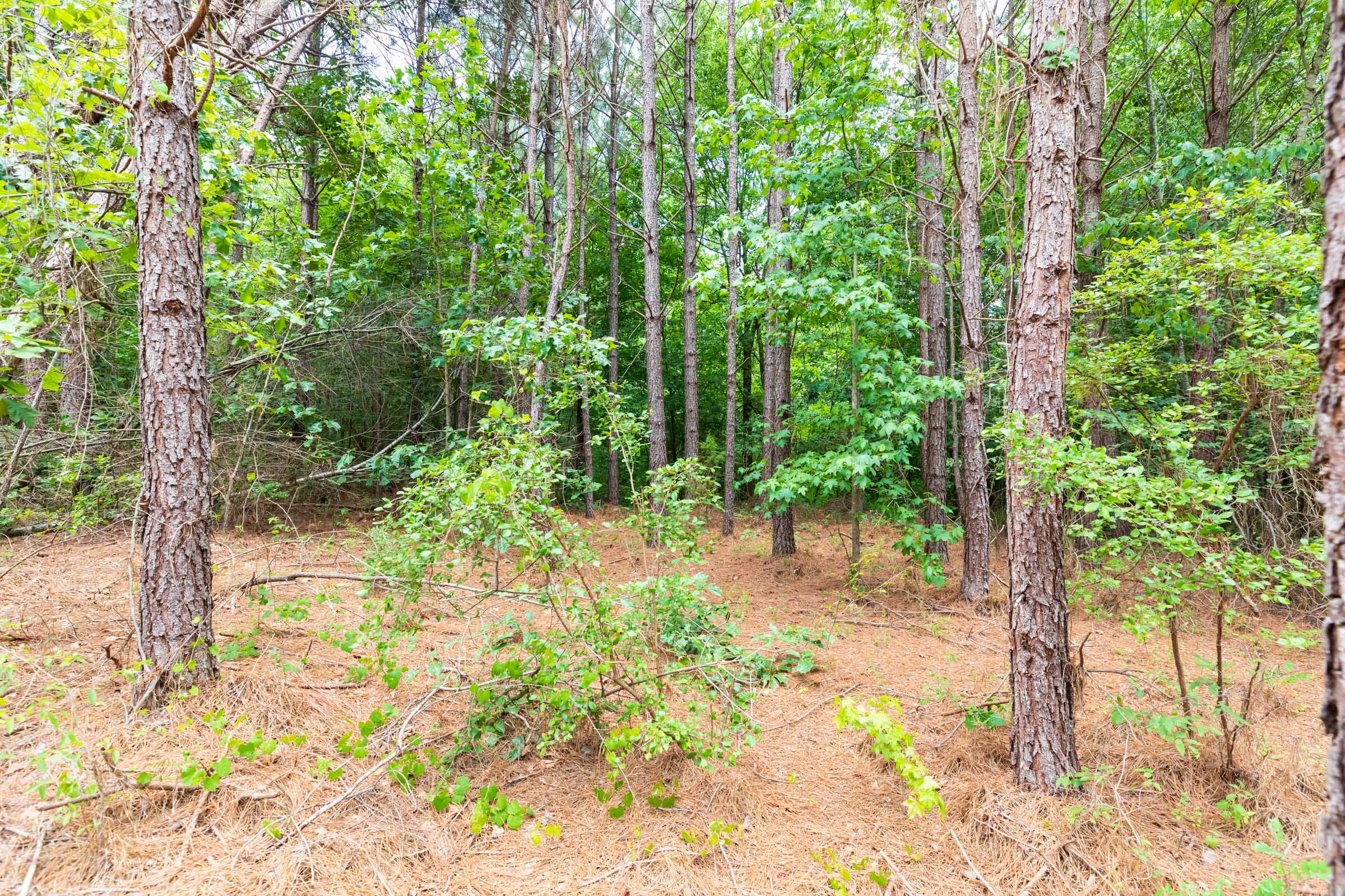 Whiskey Ridge Tract 5 photo 1