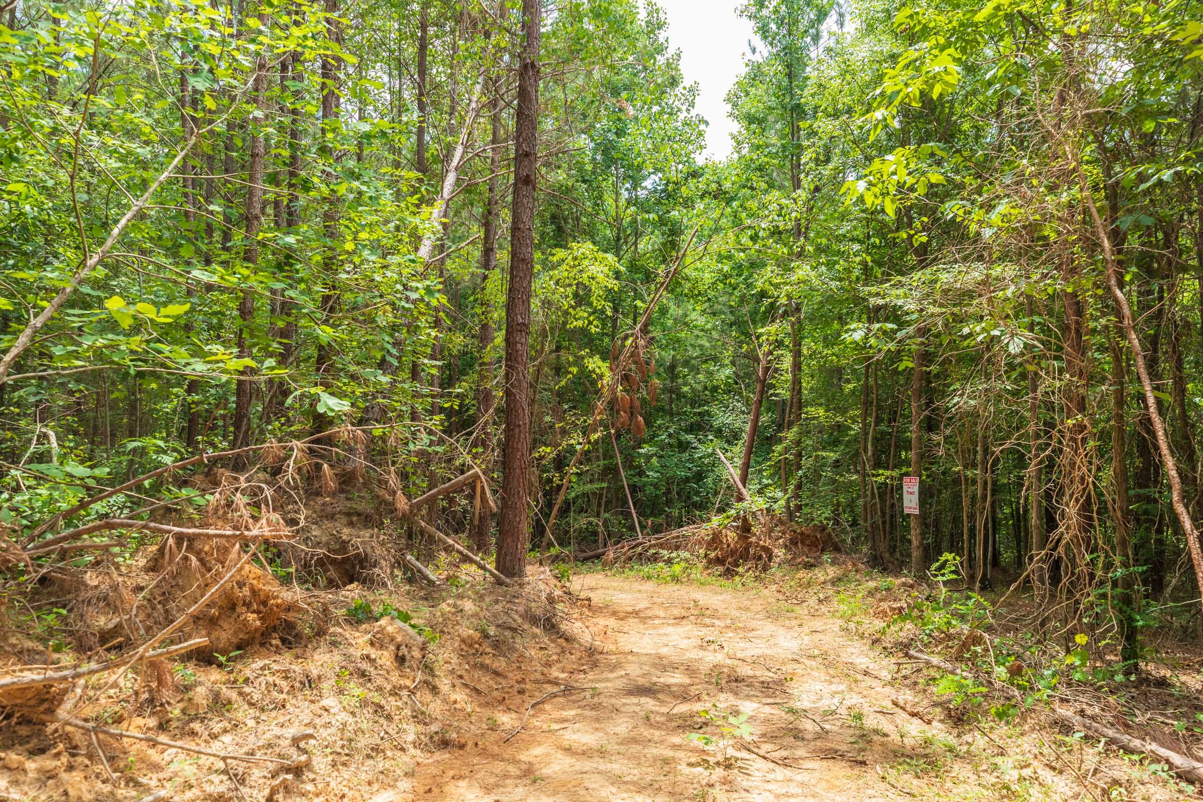 Whiskey Ridge Tract 5 photo 5