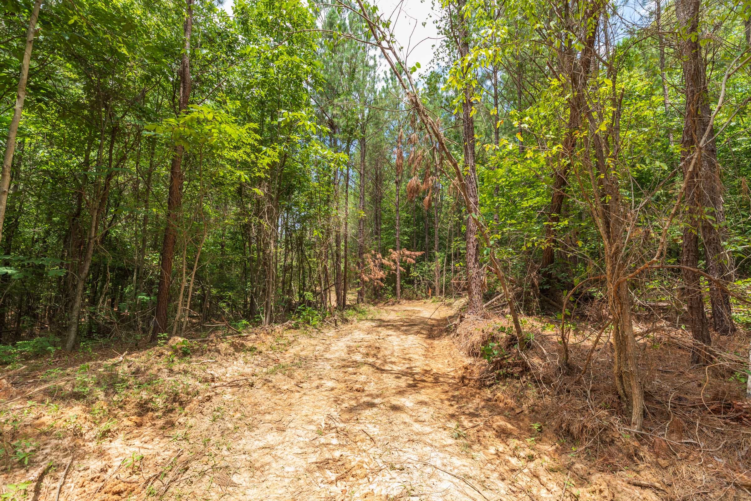 Whiskey Ridge Tract 5 photo 9