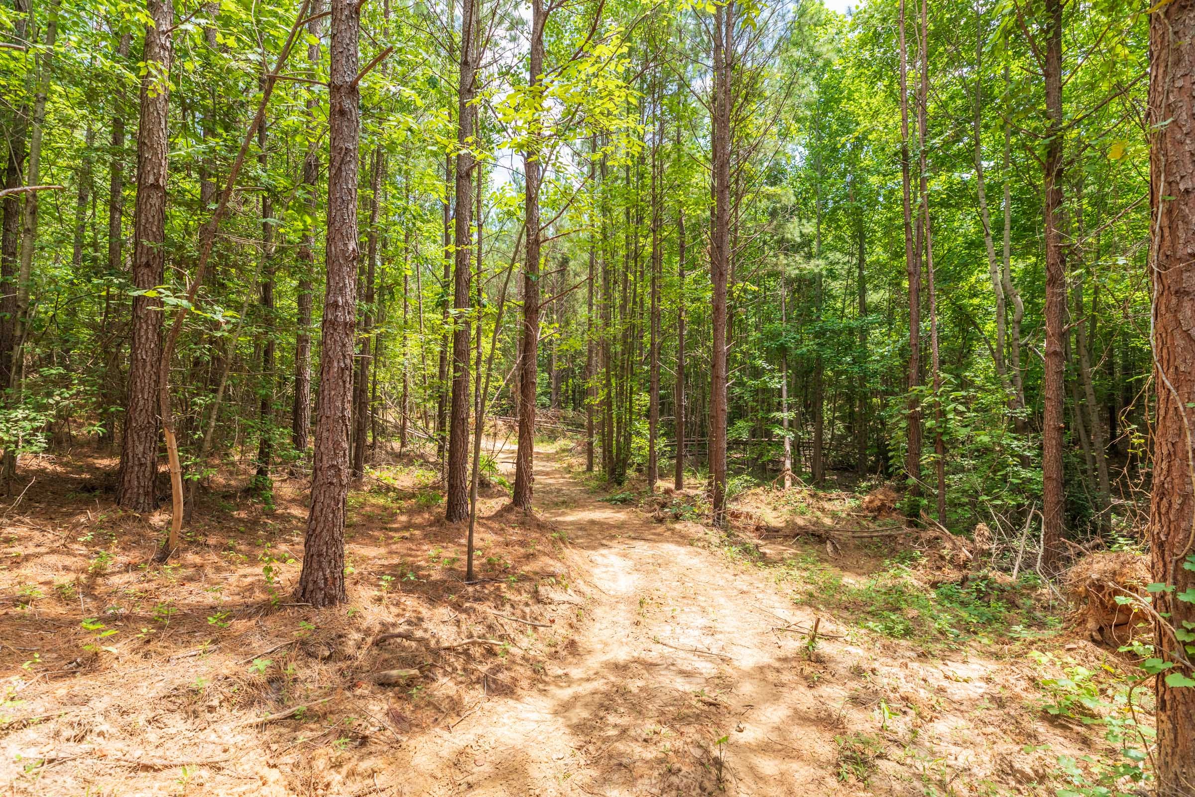 Whiskey Ridge Tract 5 photo 11