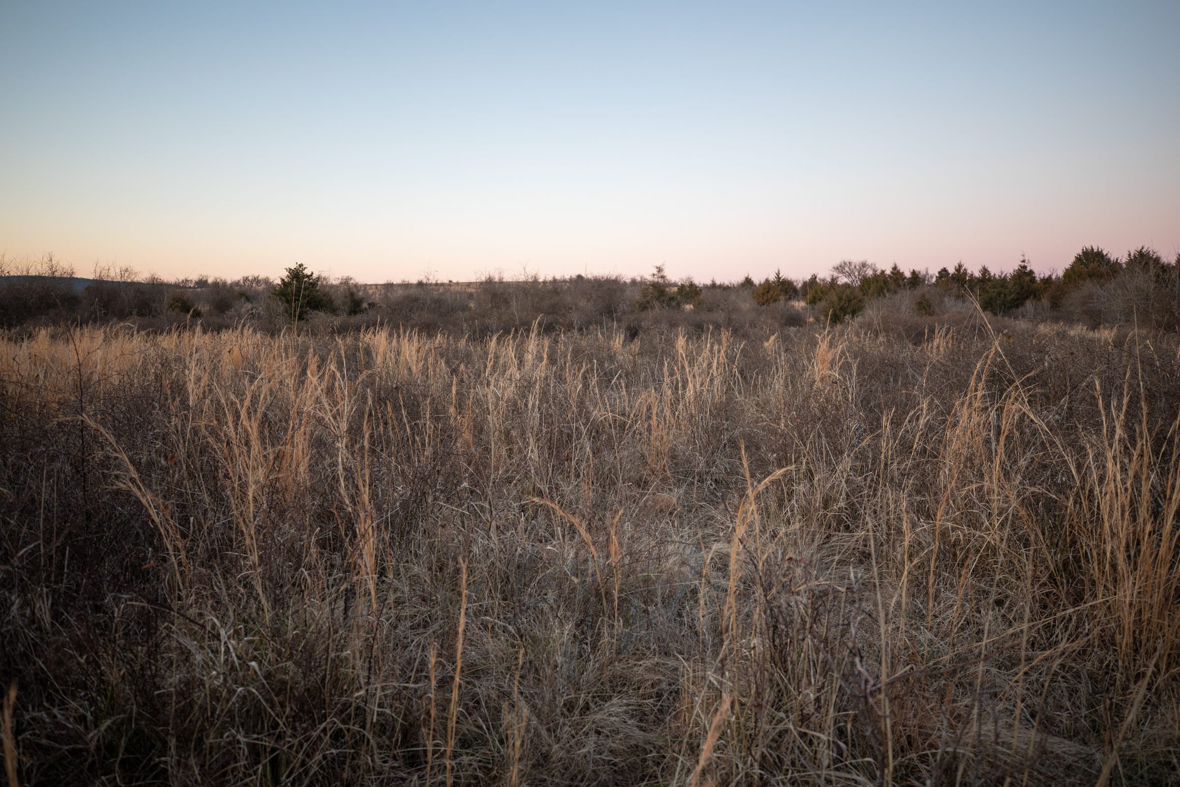 Painted Horse Tract 8 photo 5