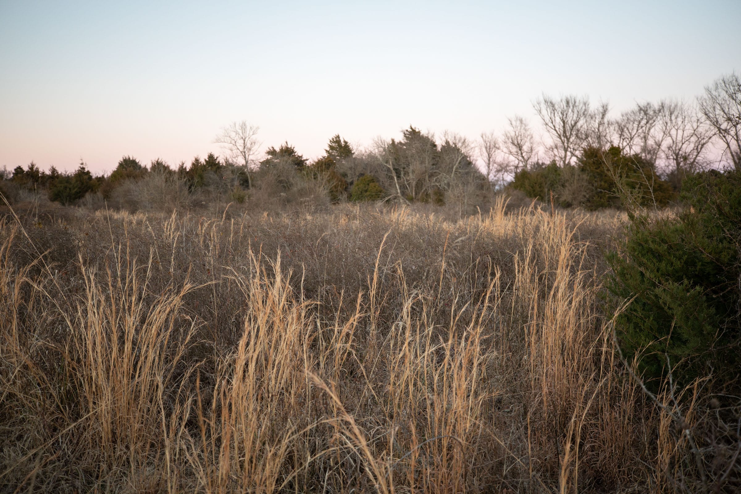 Painted Horse Tract 8 photo 6