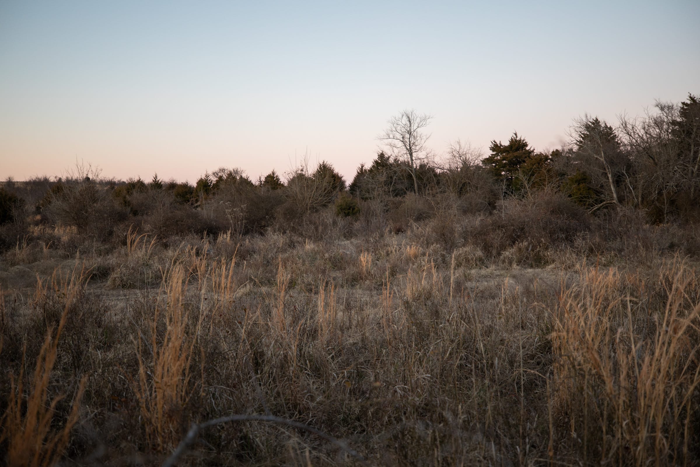 Painted Horse Tract 8 photo 7