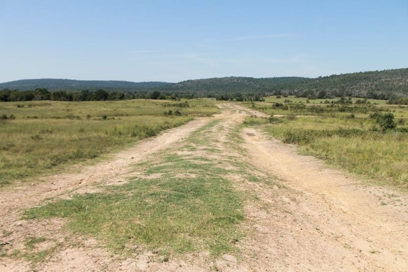 Daisy Meadows Tract 31 photo 1