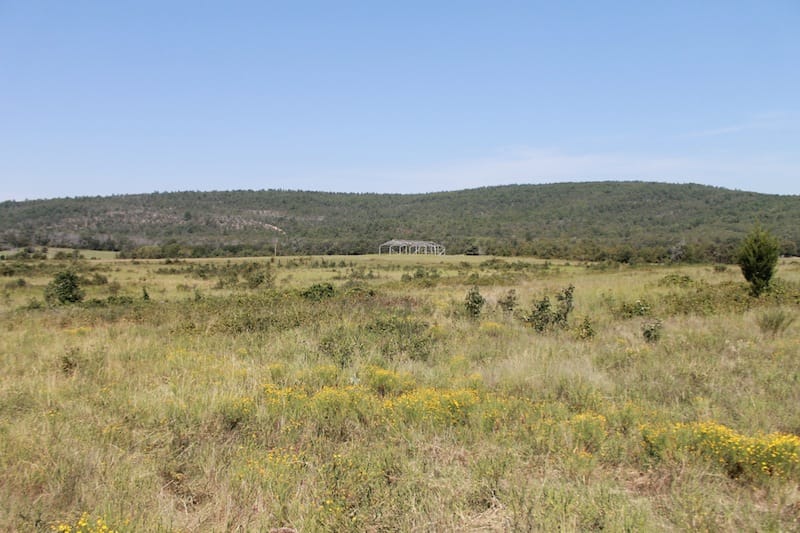 Daisy Meadows Tract 31 photo 2