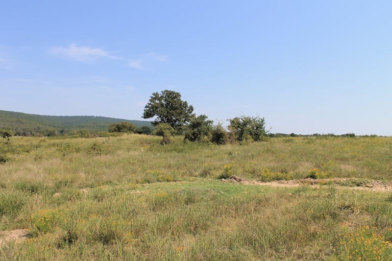 Daisy Meadows Tract 31 photo 5