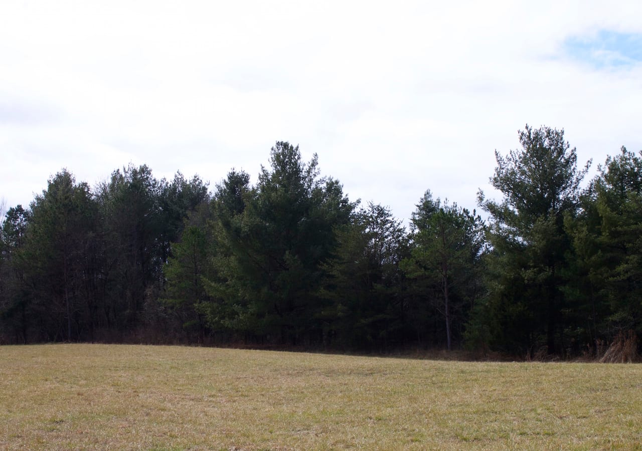 Majestic Rock Ranch Tract 5 photo 4