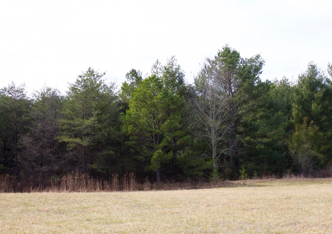 Majestic Rock Ranch Tract 5 photo 5