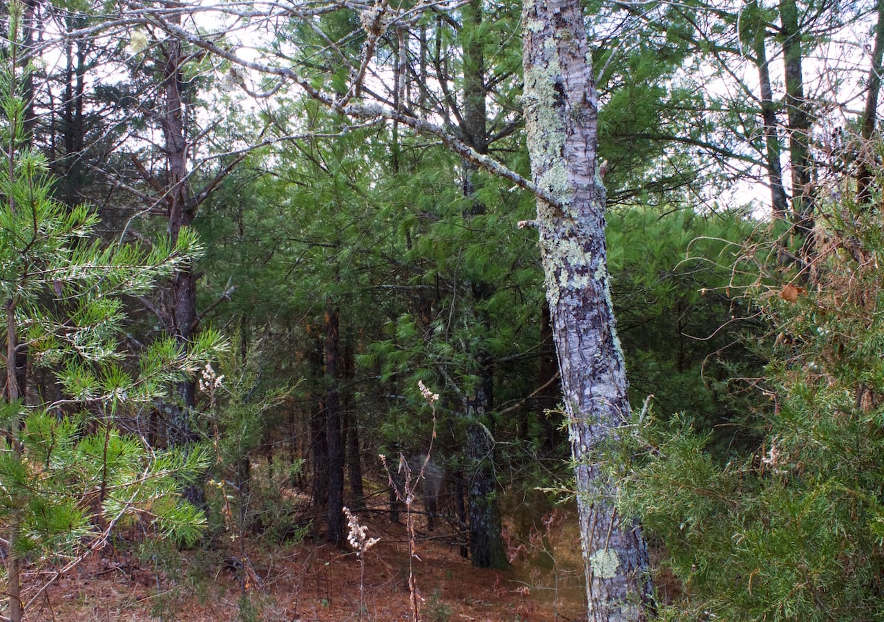 Majestic Rock Ranch Tract 5 photo 6