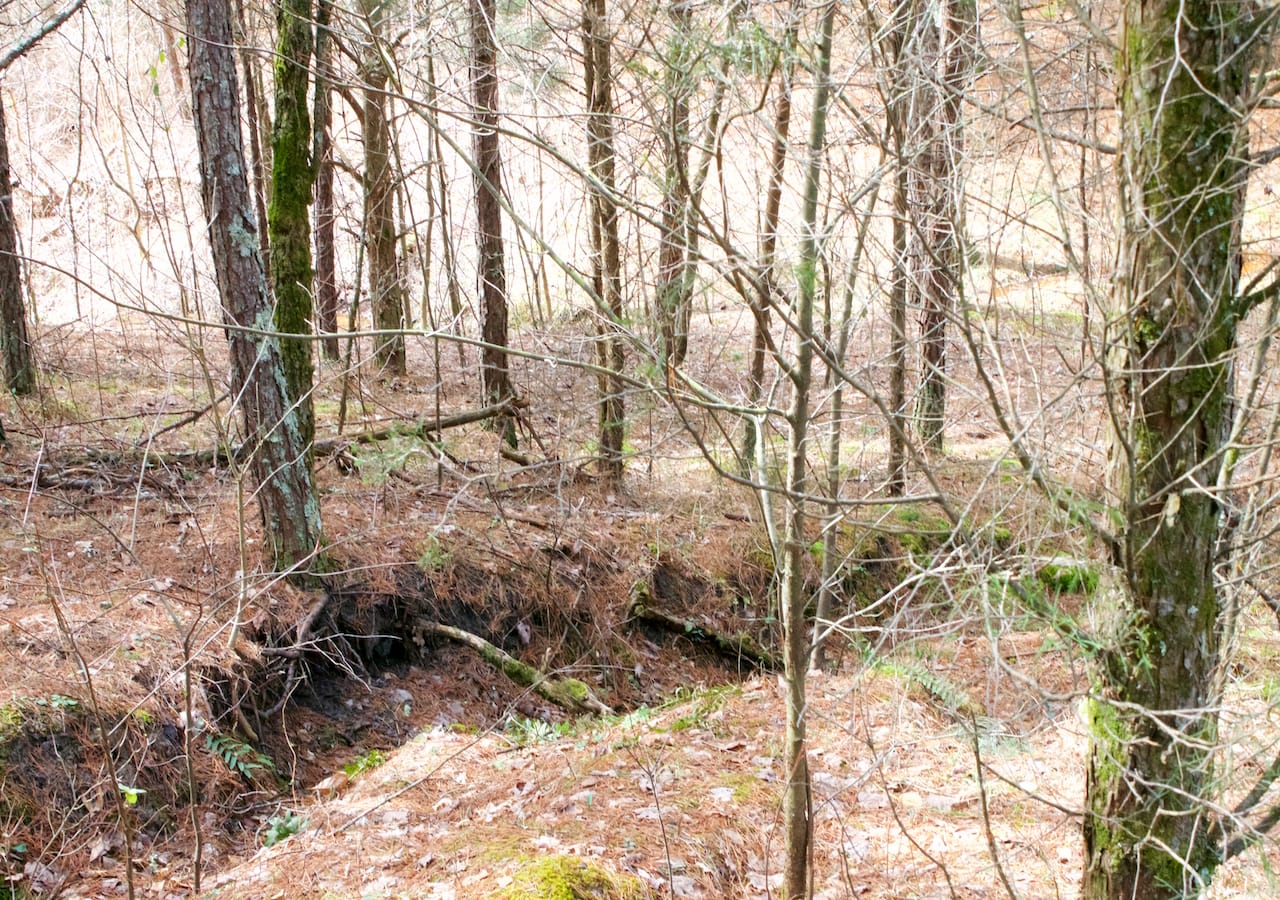 Majestic Rock Ranch Tract 5 photo 11