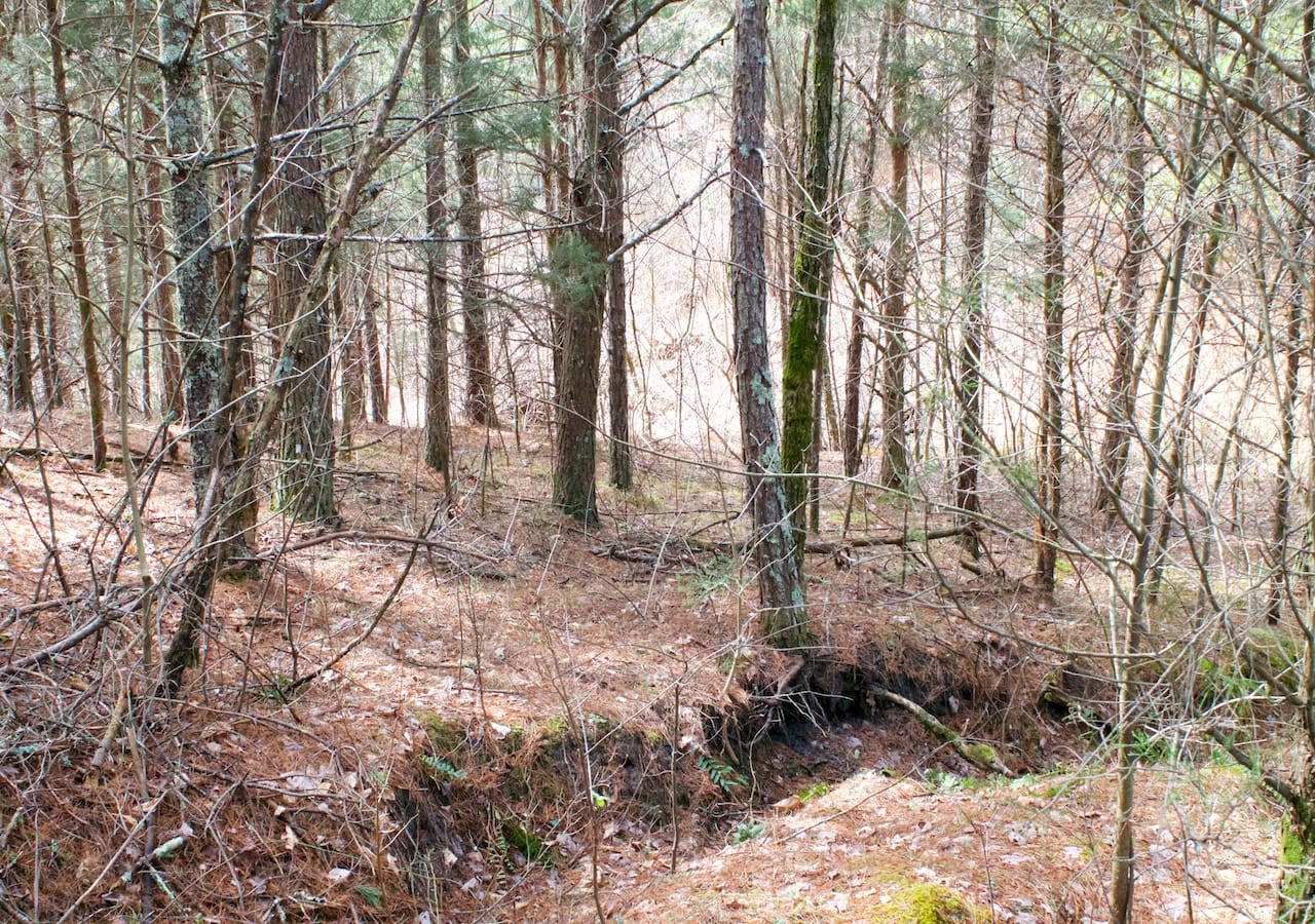 Majestic Rock Ranch Tract 5 photo 12