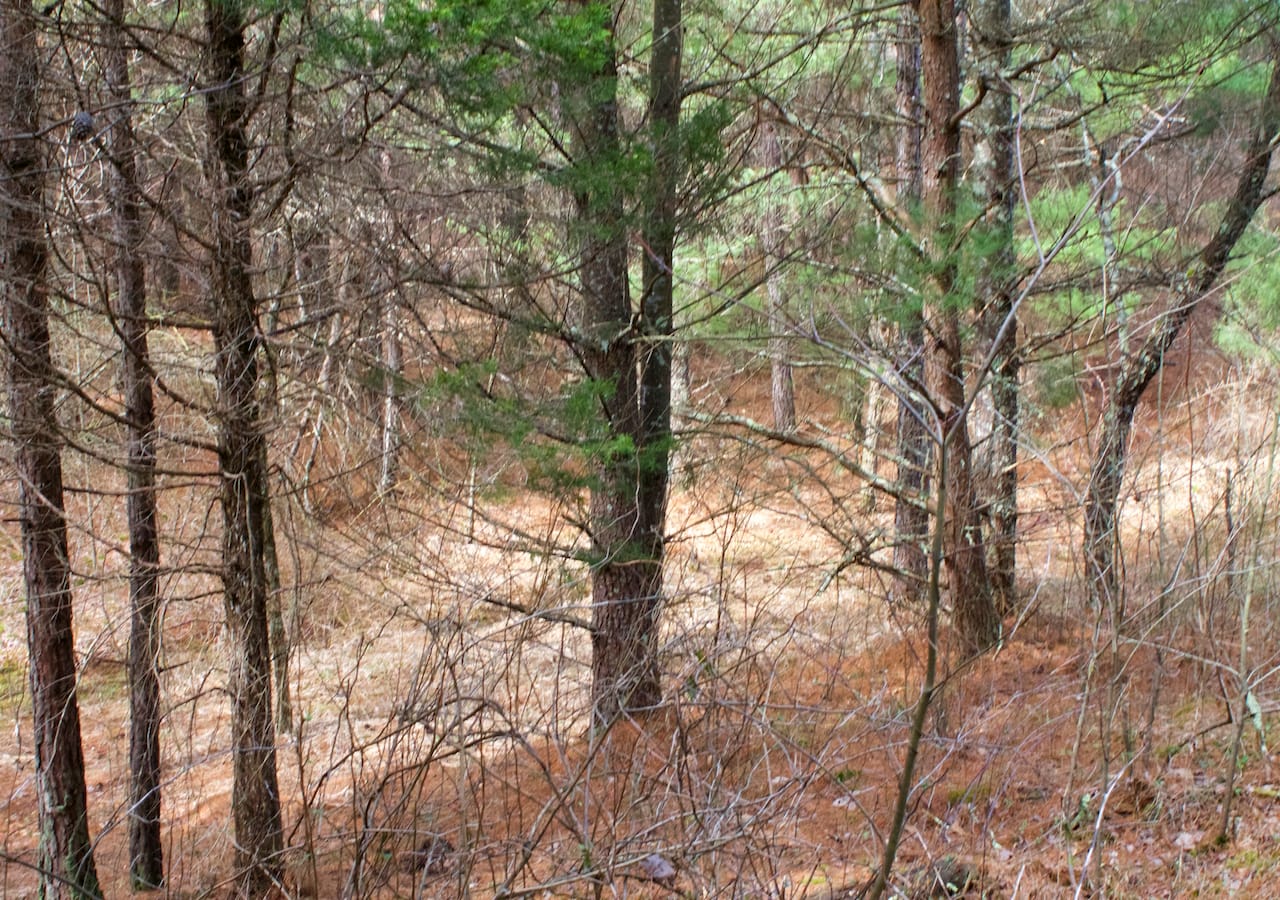 Majestic Rock Ranch Tract 5 photo 13