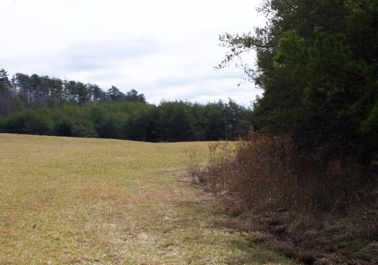 Majestic Rock Ranch Tract 5 photo 14