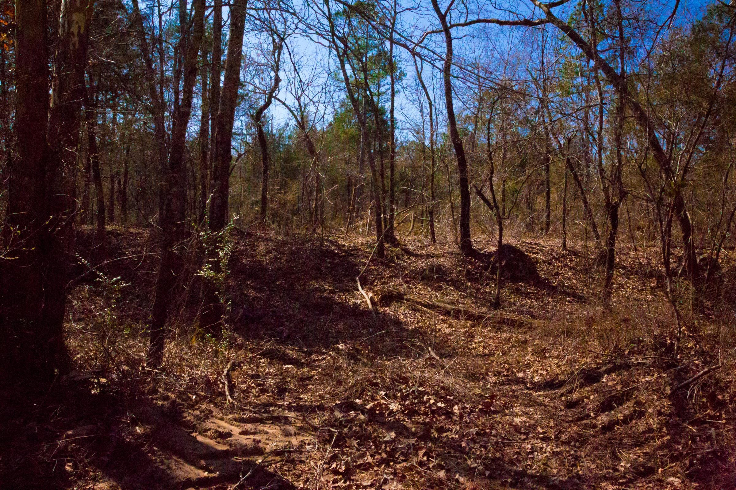 Stone Creek Phase II Tract 127 photo 7