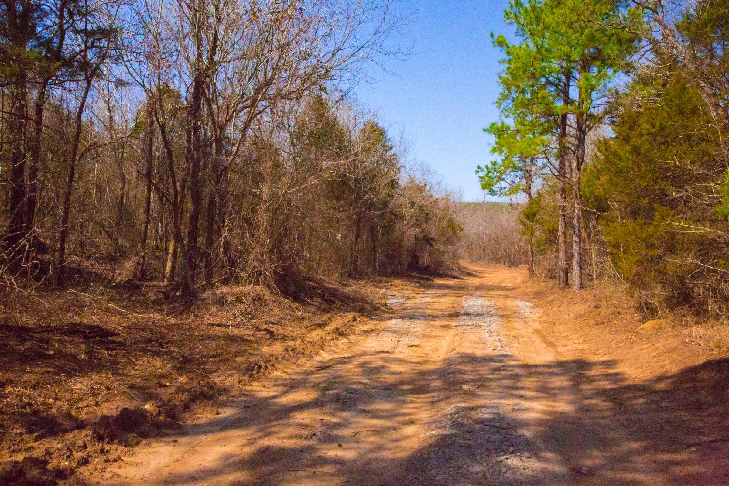 Stone Creek Phase II Tract 127 photo 2