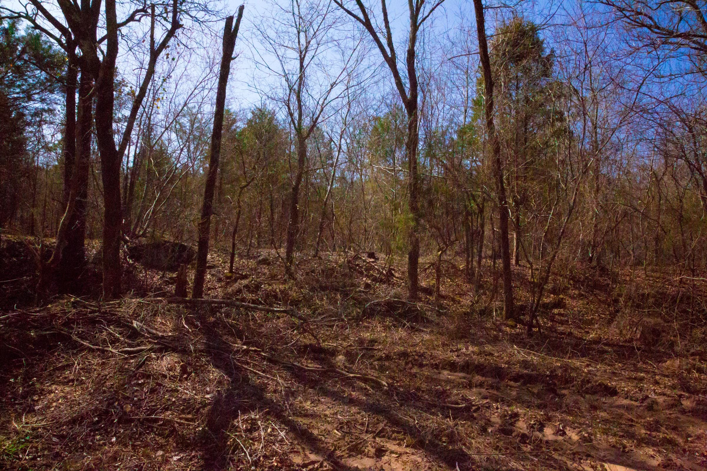 Stone Creek Phase II Tract 127 photo 8