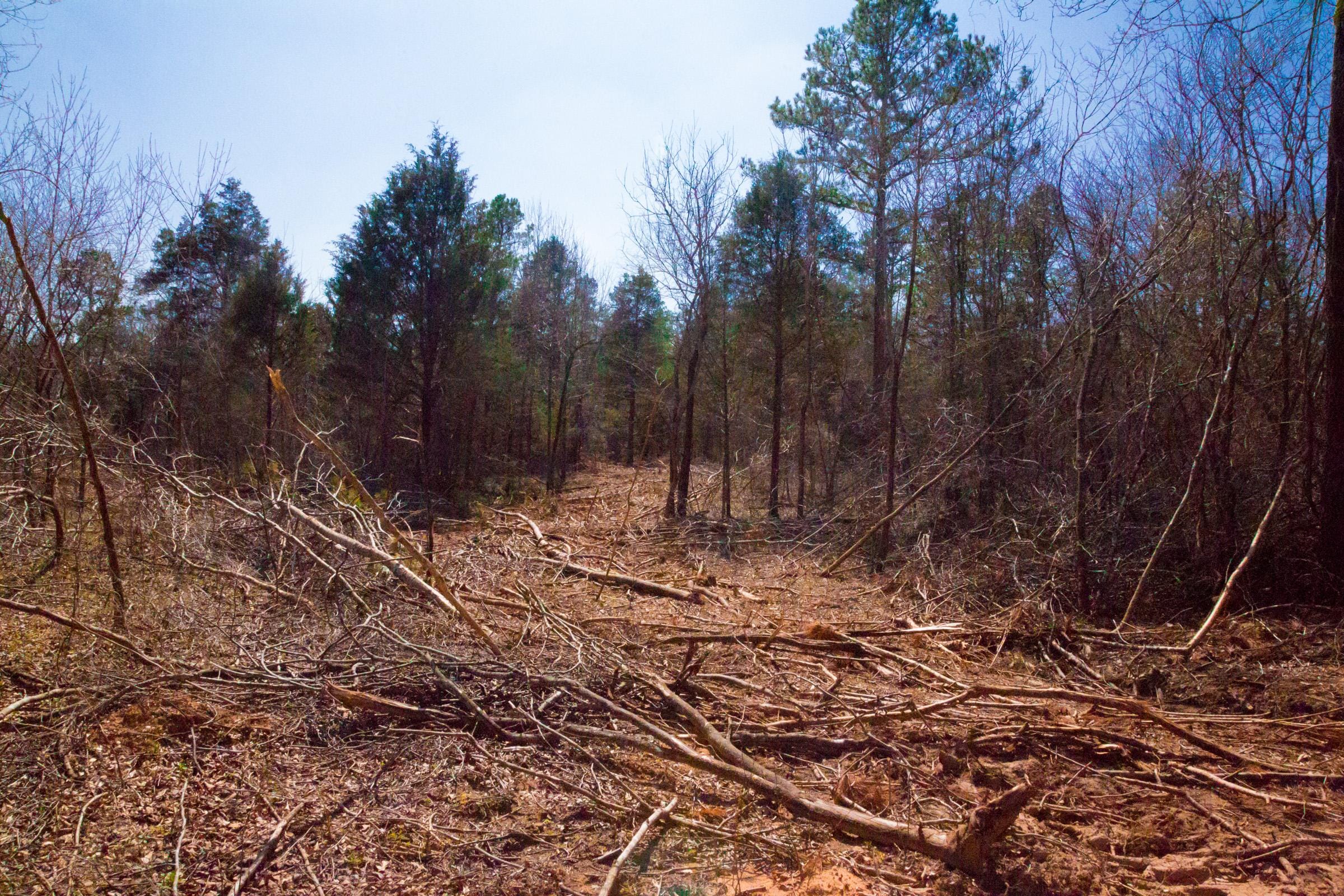 Stone Creek Phase II Tract 127 photo 10
