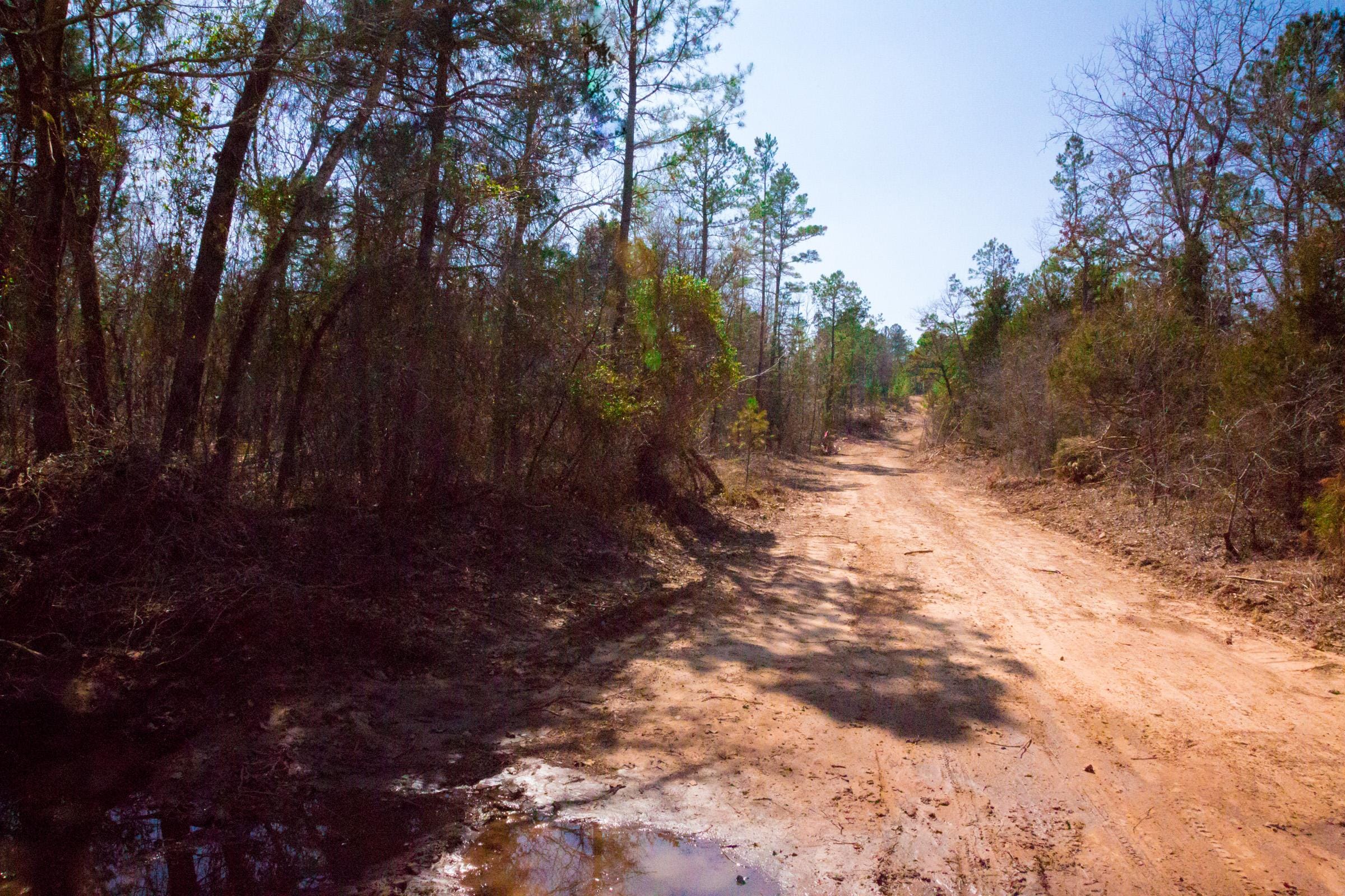 Stone Creek Phase II Tract 127 photo 11