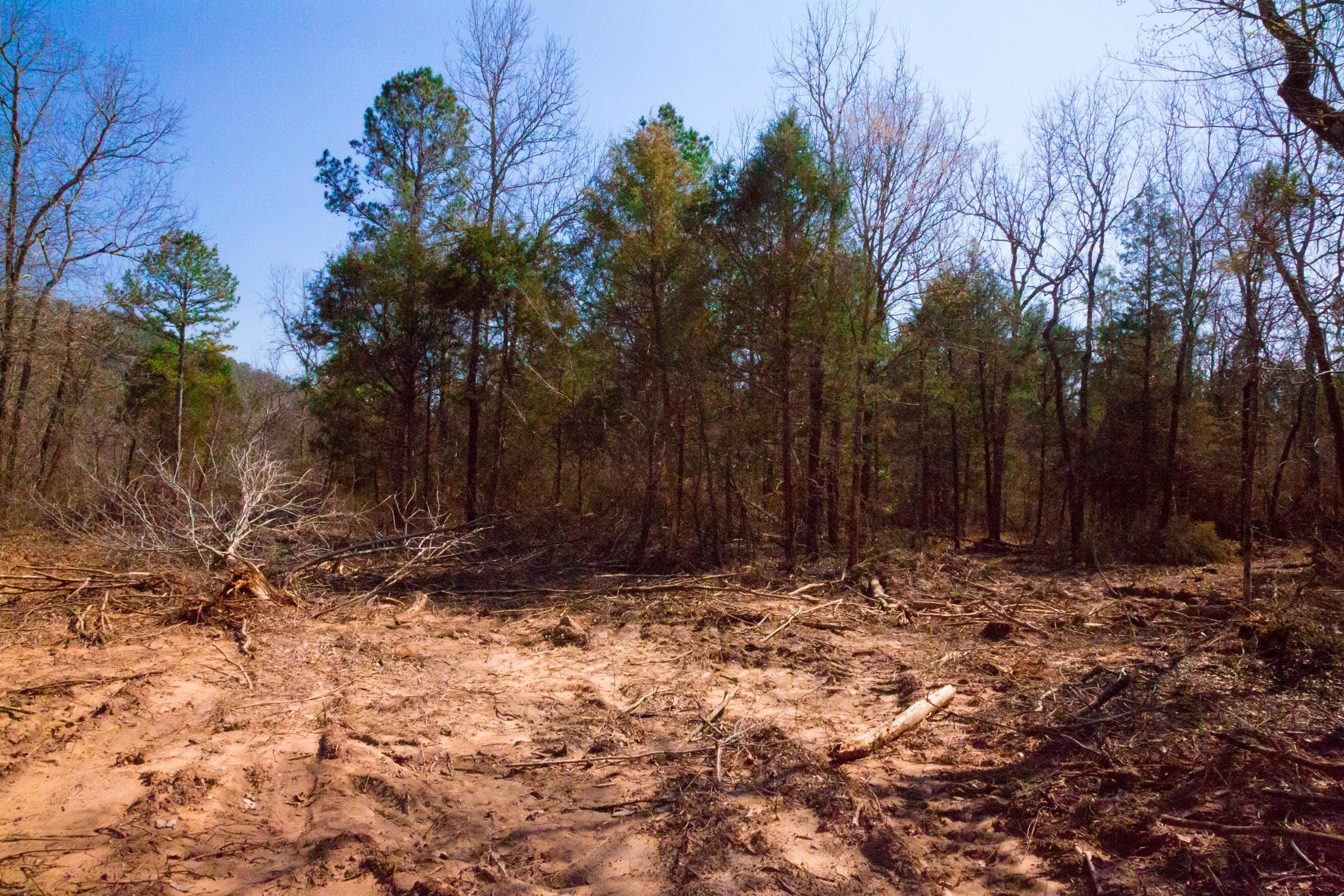 Stone Creek Phase II Tract 127 photo 13