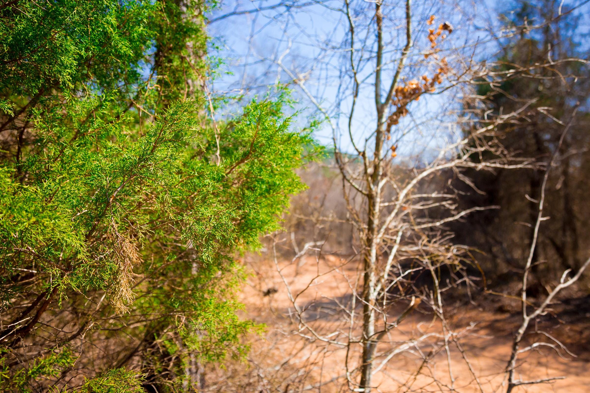 Stone Creek Phase II Tract 127 photo 14