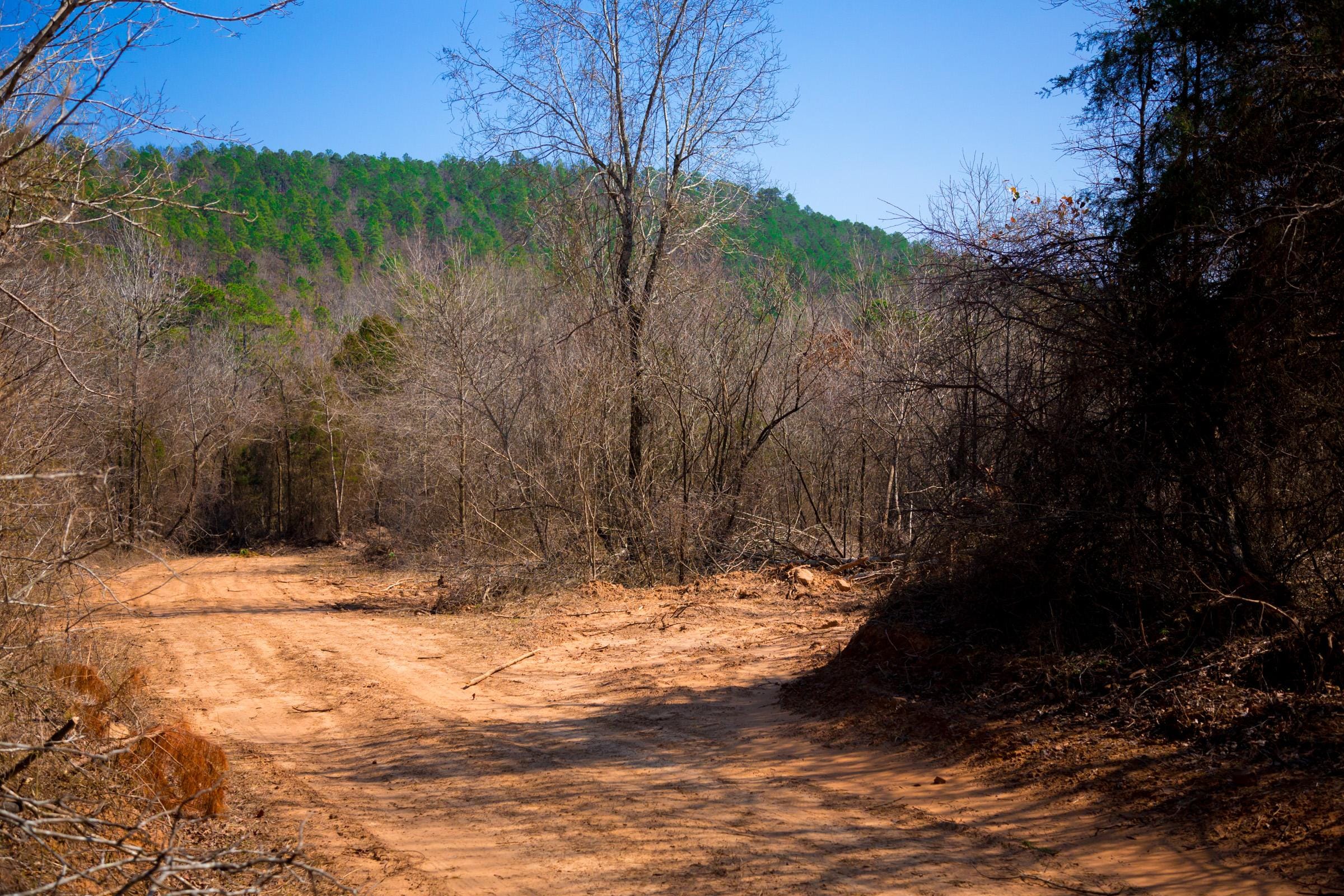Stone Creek Phase II Tract 127 photo 15