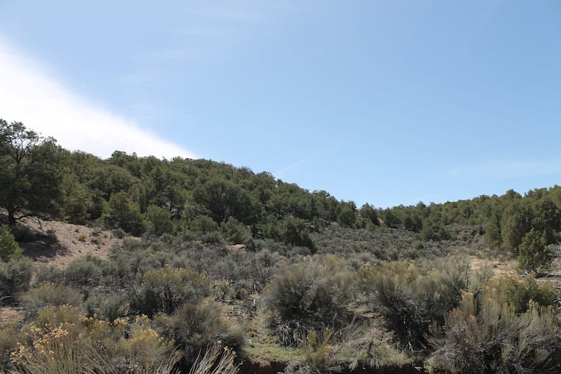Sangre De Cristo Ranches Tract 1058 photo 7