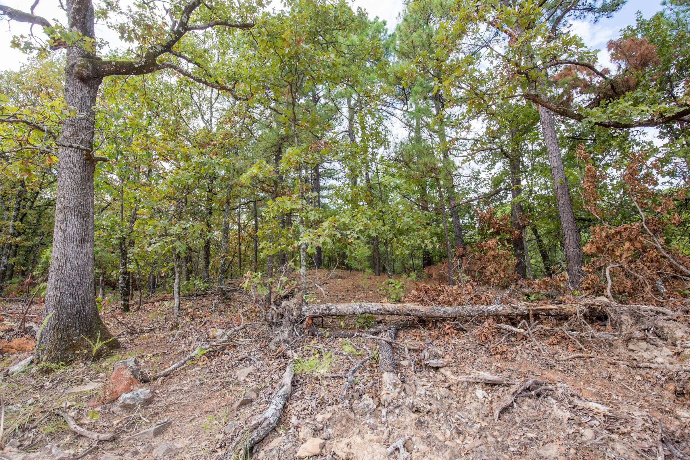 Stone Bridge Phase I Tract 41 photo 2