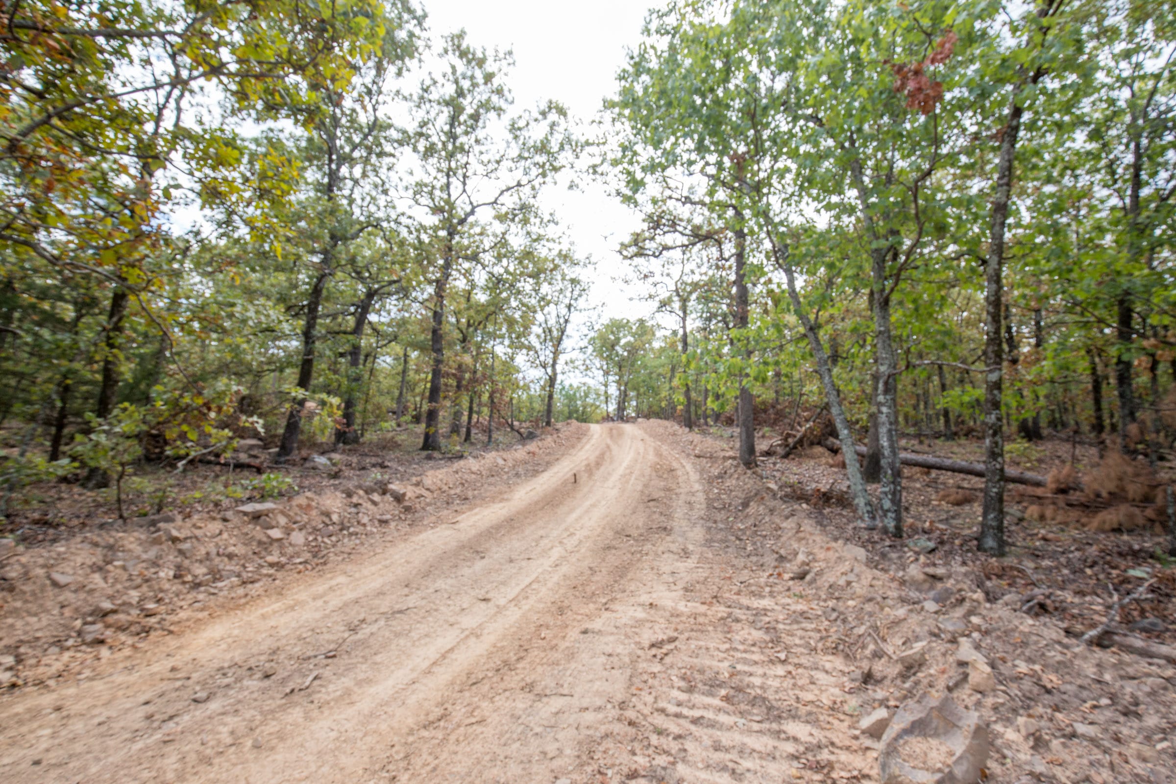 Stone Bridge Phase I Tract 41 photo 7