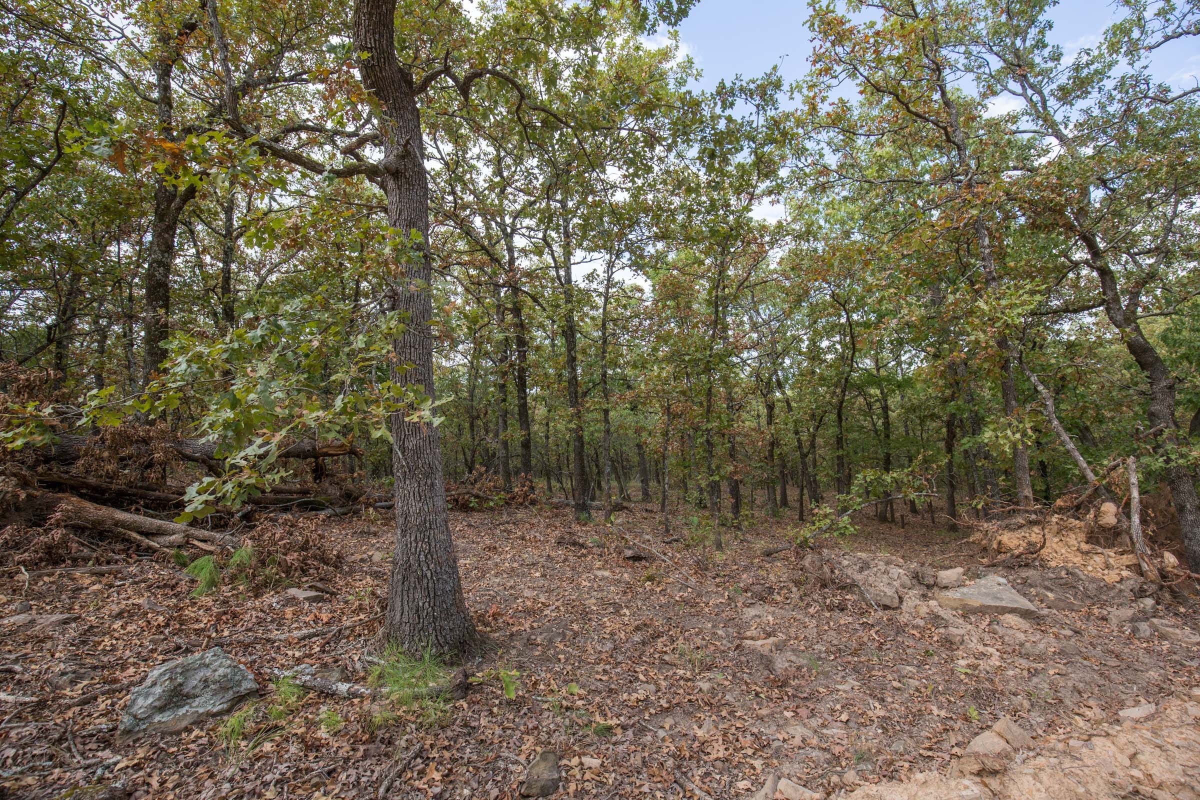 Stone Bridge Phase I Tract 41 photo 10
