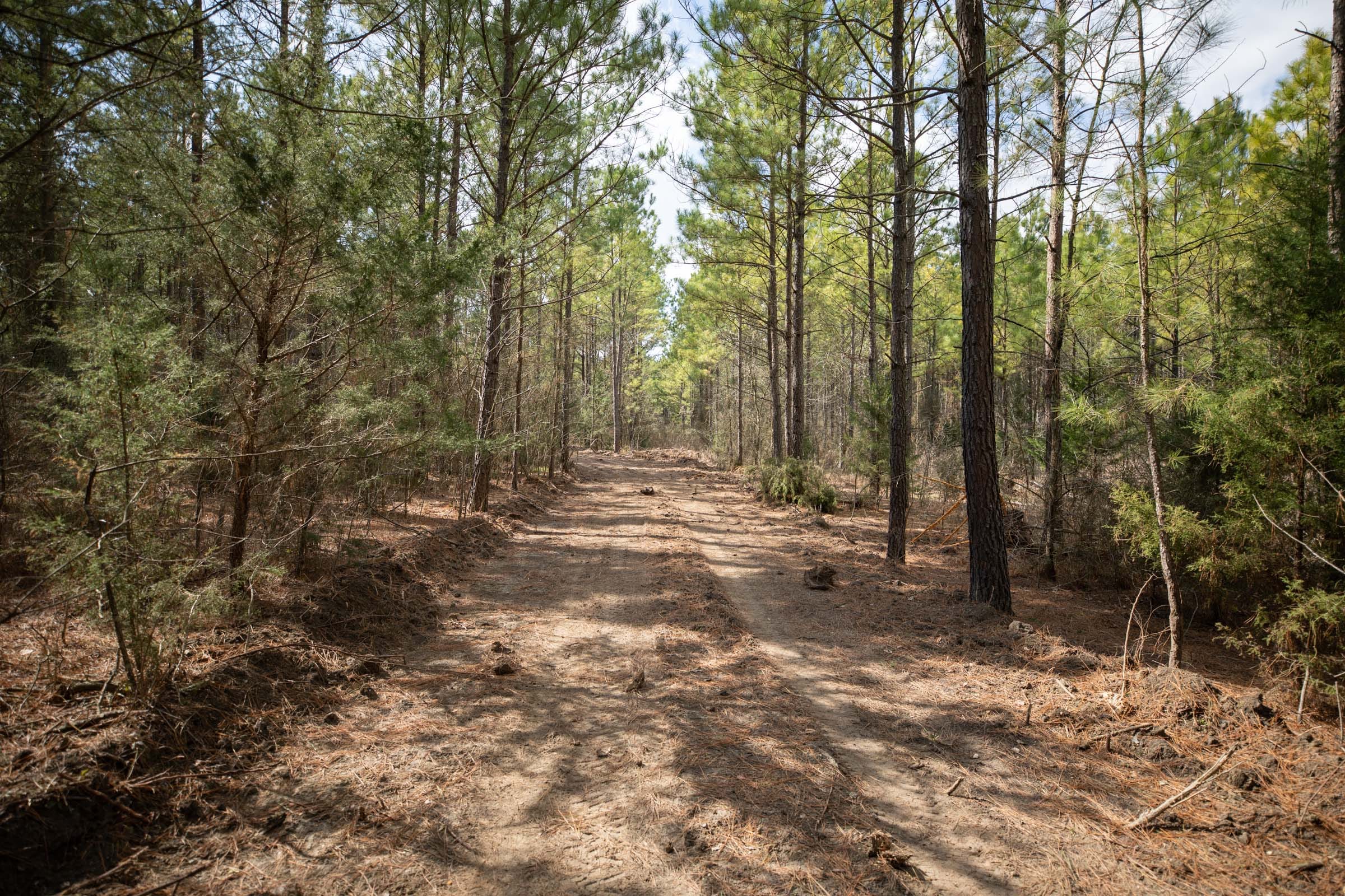 Wishing Star Ranch Tract 49 photo 3