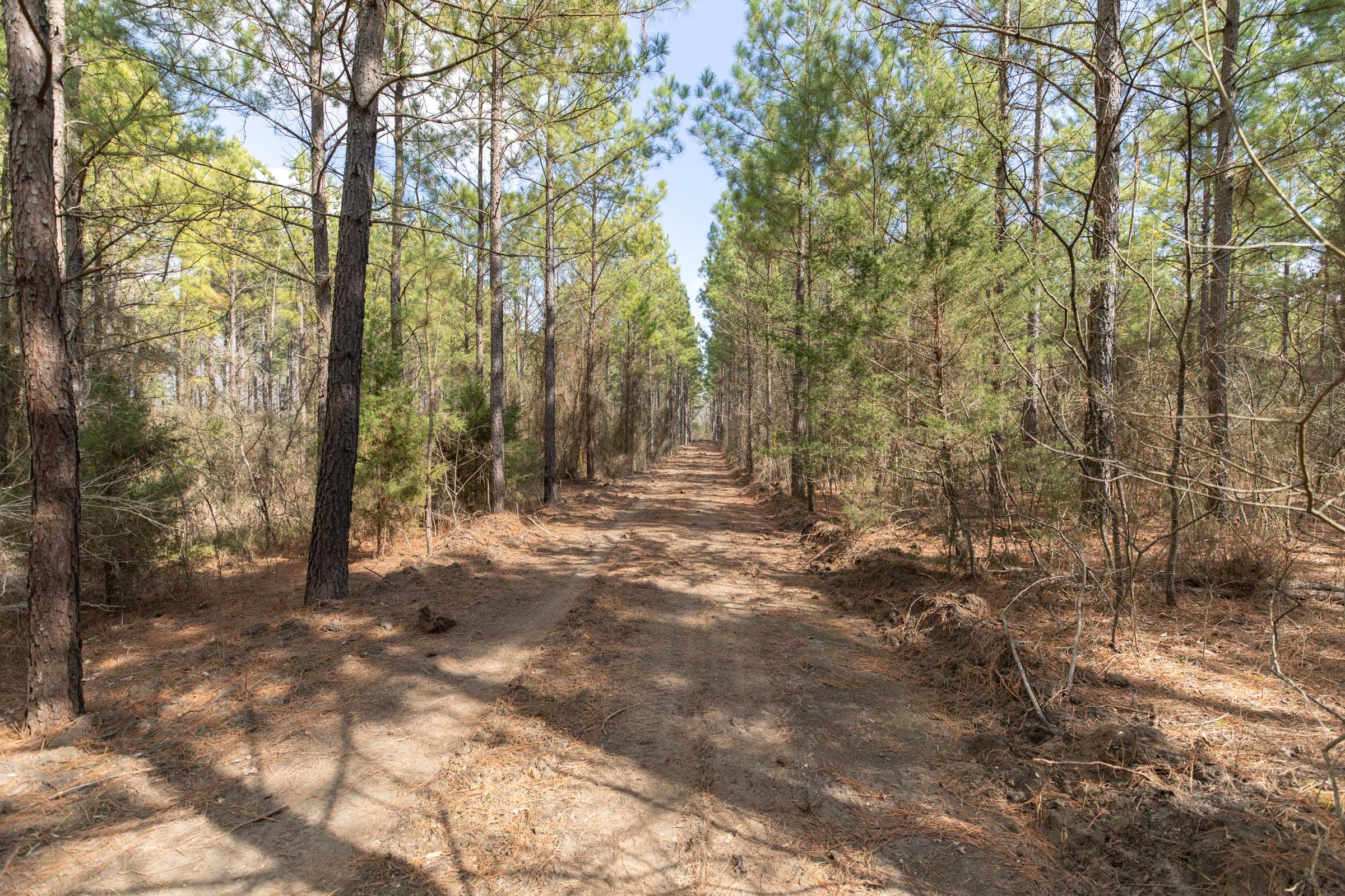 Wishing Star Ranch Tract 49 photo 5