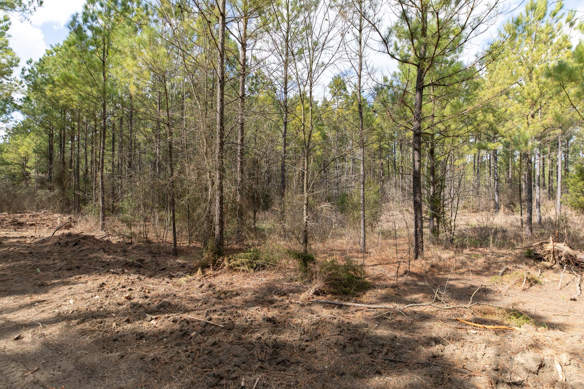 Wishing Star Ranch Tract 49 photo 7