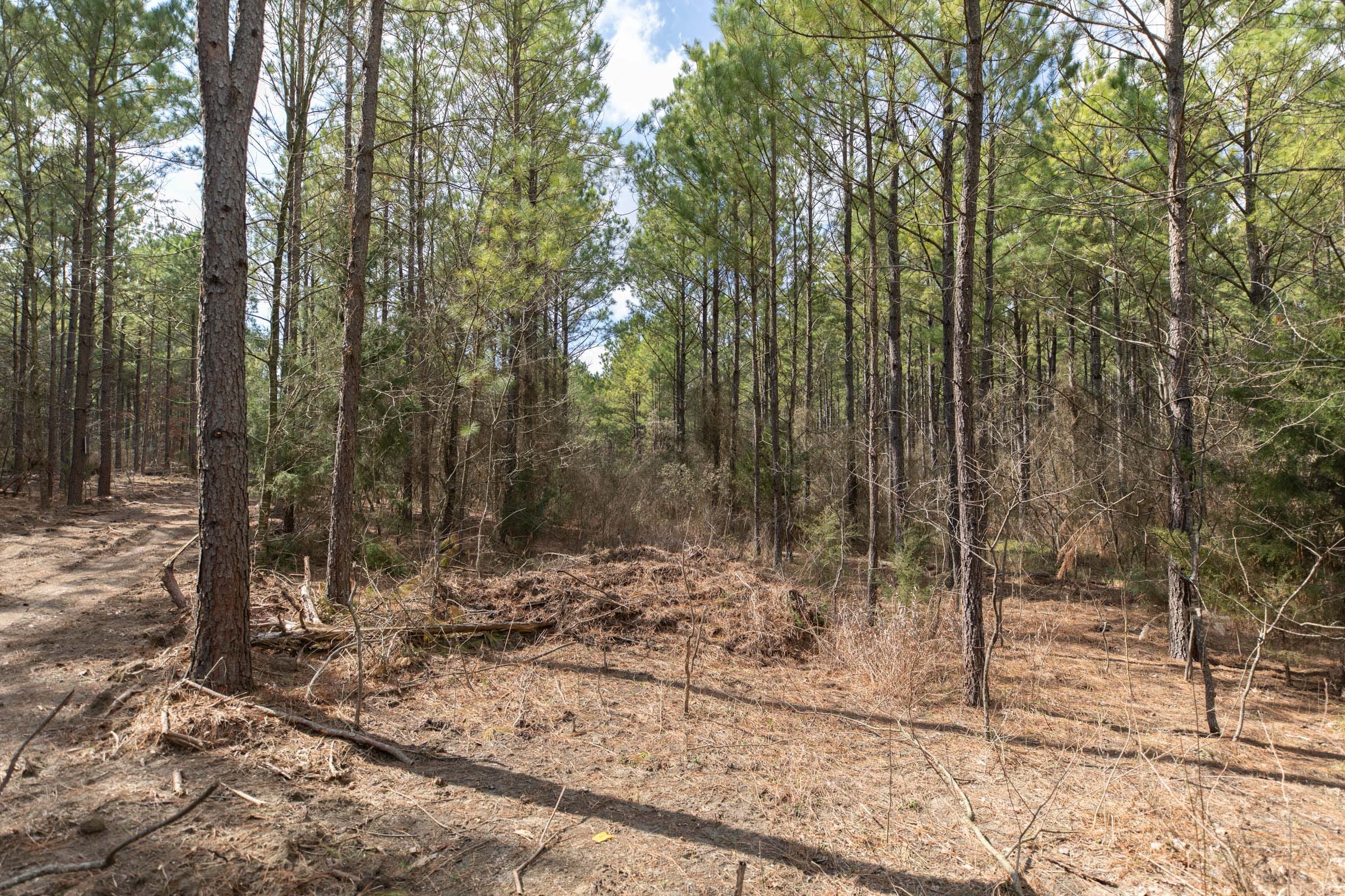 Wishing Star Ranch Tract 49 photo 8