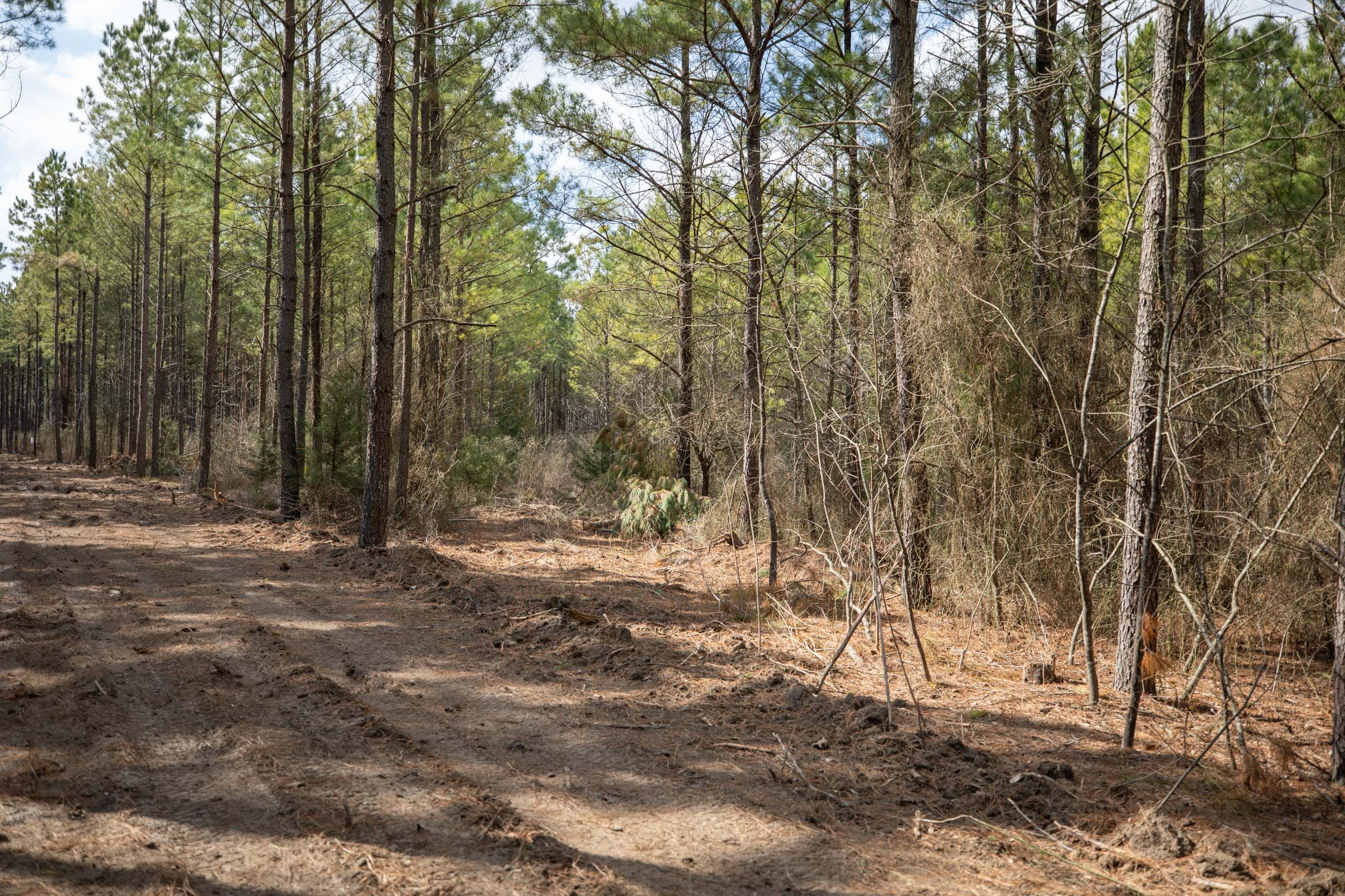 Wishing Star Ranch Tract 49 photo 9