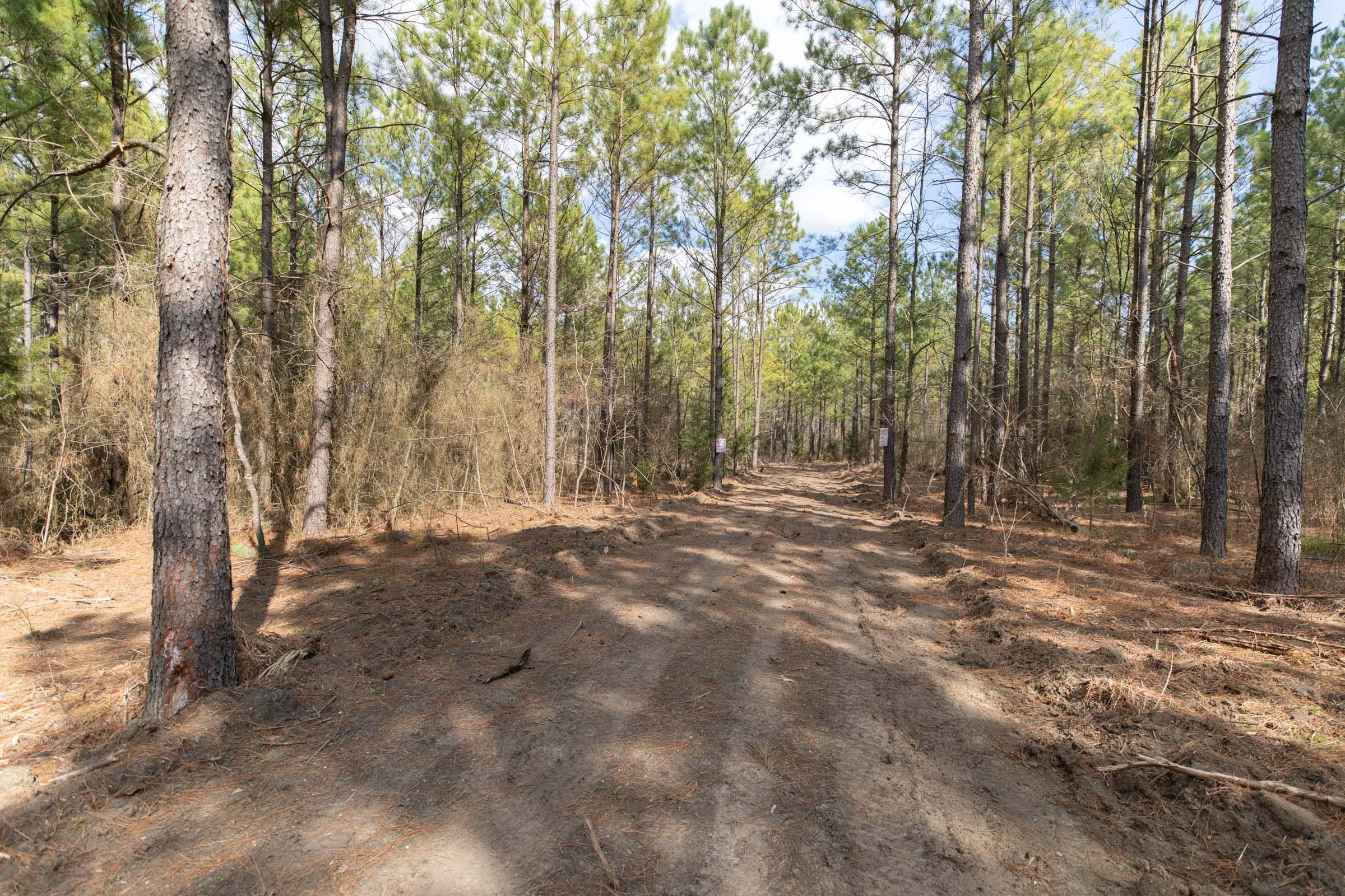 Wishing Star Ranch Tract 49 photo 10