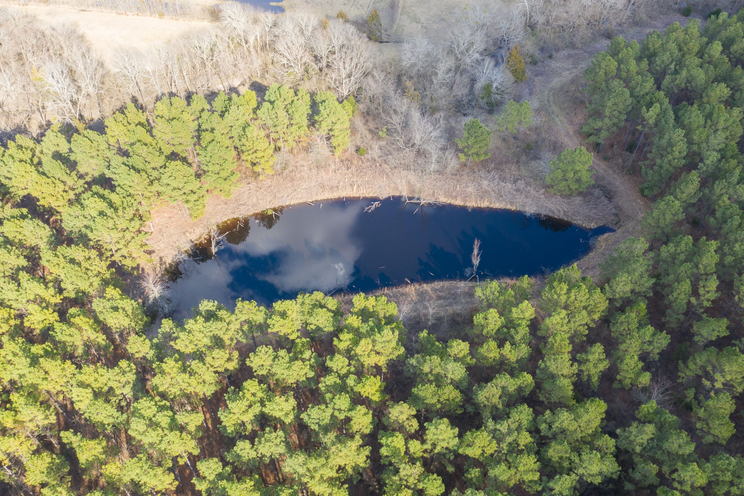 Wishing Star Ranch Tract 49 photo 2